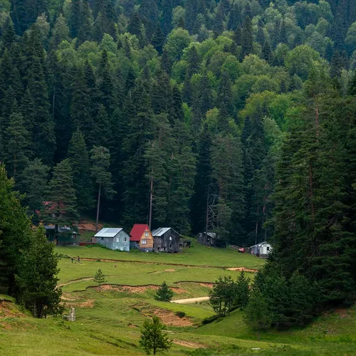 Die Balılı Alm