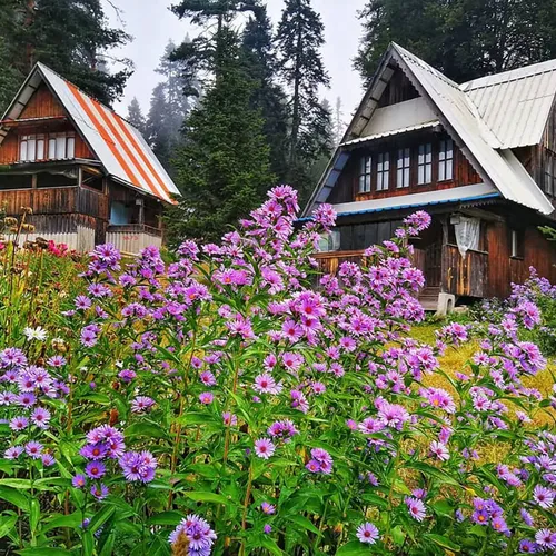 Die Balılı Alm