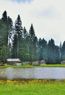 Плато Пюренлі