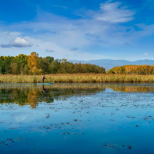 Lac Efteni