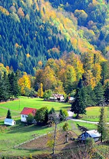 Odayeri Yaylası