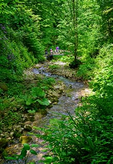 La cascada Aktaş