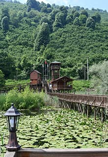 Efteni Lake