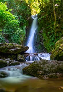 El parque natural de la cascada de Aydınpınar