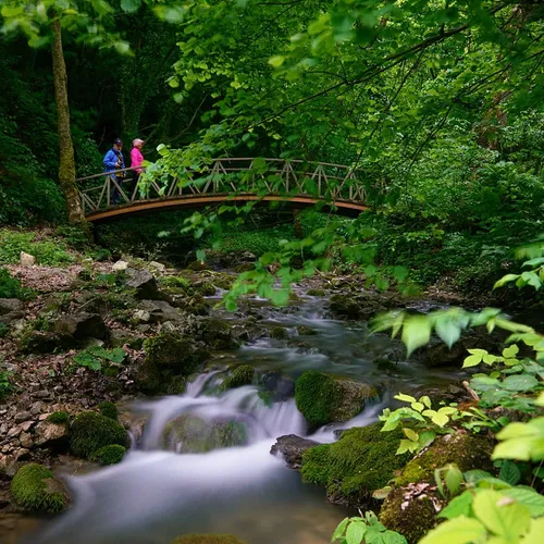 Aktaş Waterfall