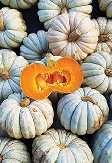 La calabaza