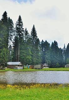 Die Pürenli Alm