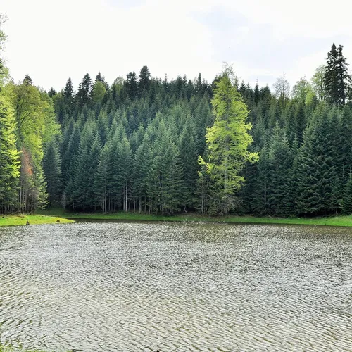 Плато і ставок Торкул