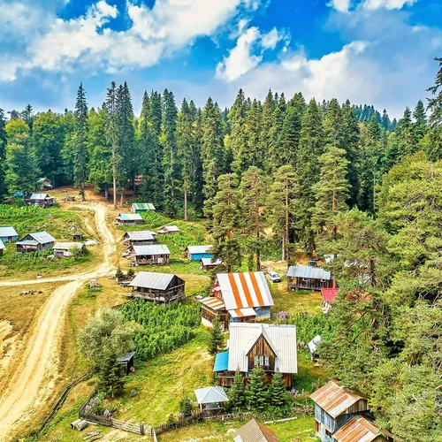 Die Balılı Alm