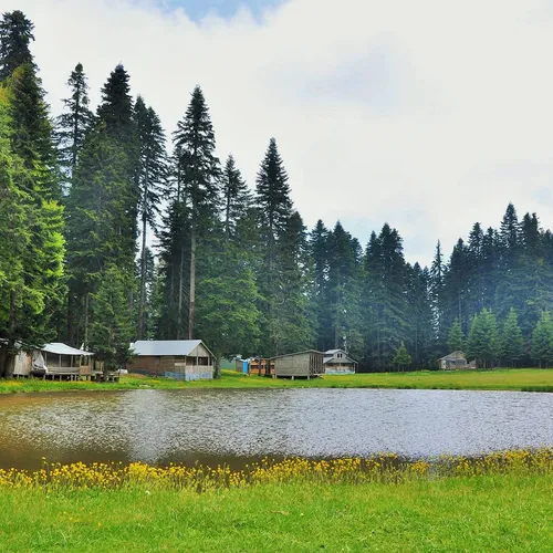 Die Pürenli Alm