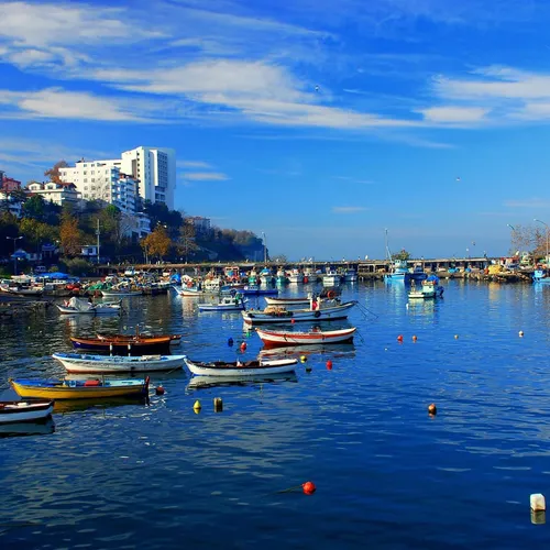 Akçakoca