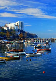 Akçakoca