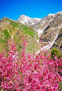 Cilo Berg Hakkari