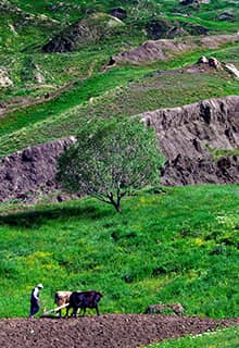 Noah’s Arche, Ağrı
