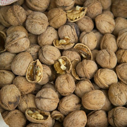 جوز عادل جواز بتليس