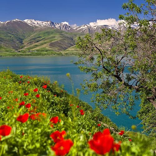 Lake Van（凡湖）