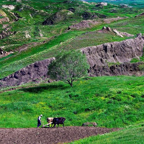 Арка Ноя, Агры