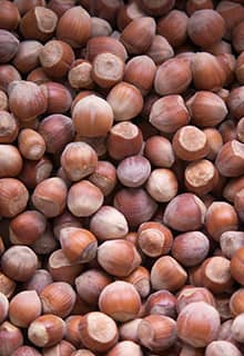 Hizan Hazelnut Bitlis