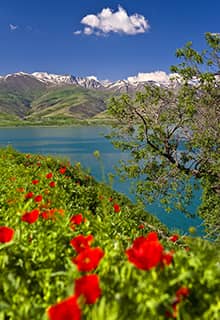 Lake Van in Spring