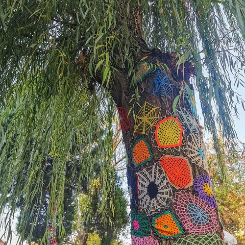 Decorated Trees