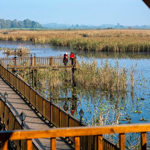 Efteni Lake