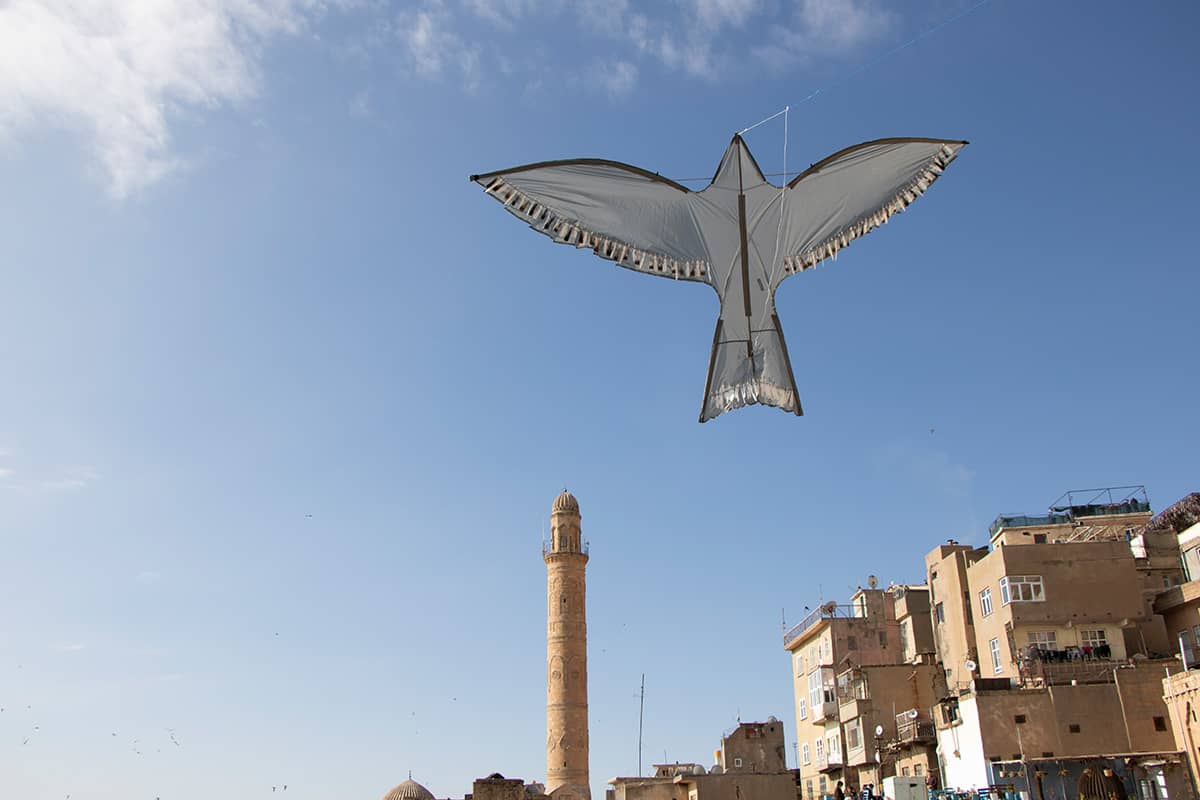 Blog Image - 10 Family Dream Trips in Türkiye