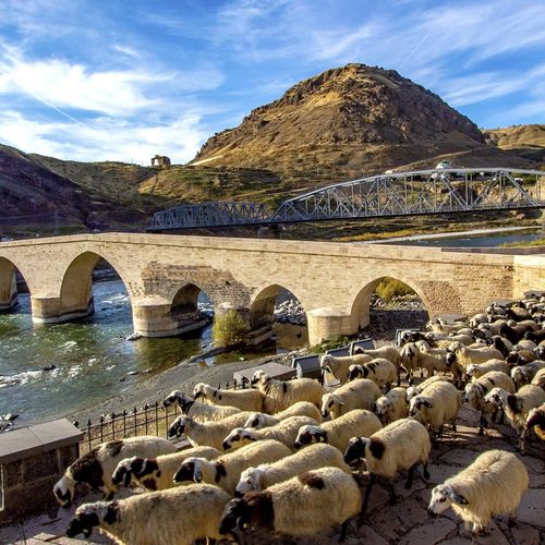 Palu Stone Bridge