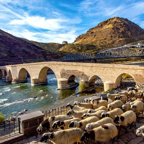 Palu Stone Bridge