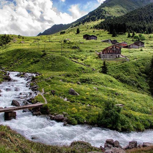 Elevit  Plateau