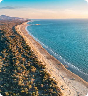 Patara