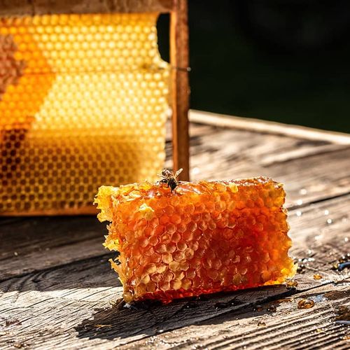 Organic Honeycombs