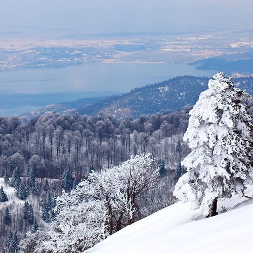 Sapanca Kartepe