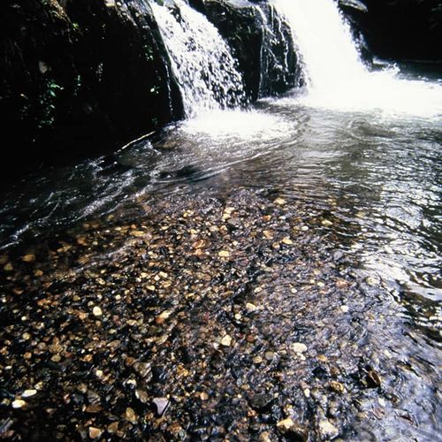 Freshwater Lakes