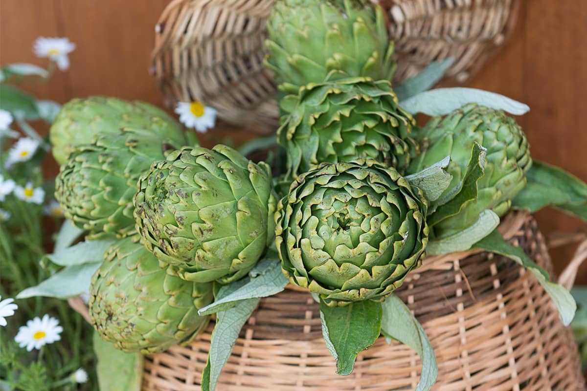 Blog Image - Artichokes in Turkish Food Culture