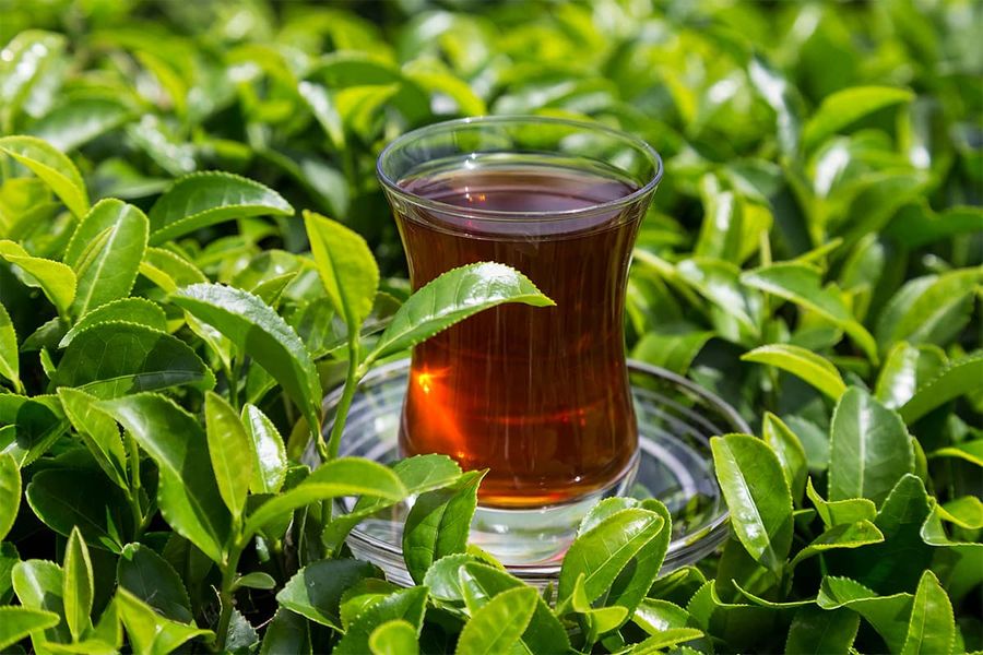 Blog Image - Tea as a Symbol of Common Life and Culture in Anatolia