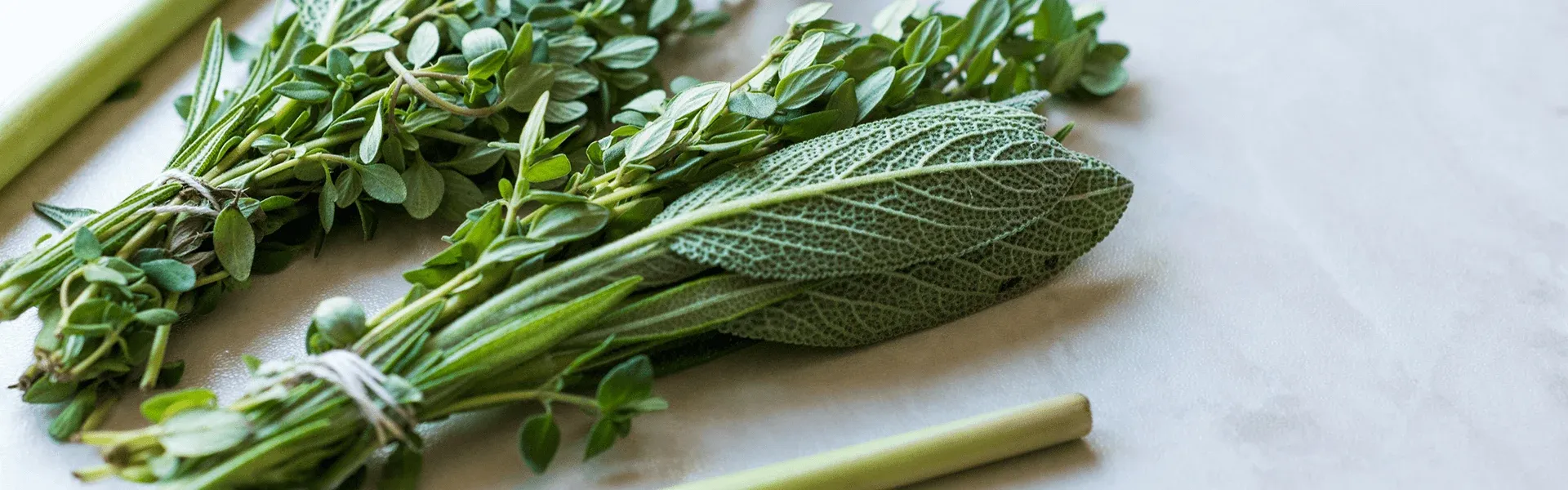 Hero Image - Aegean Herbs in Turkish Cuisine