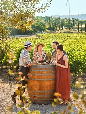 Vineyards of Anatolia
