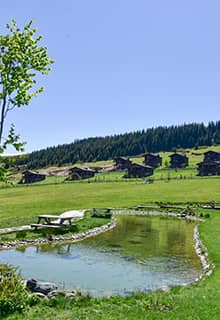 Kümbet Yaylası