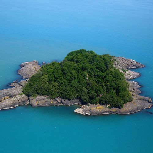 Giresun Island Aretias