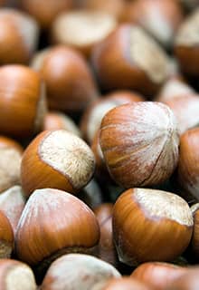 Hazelnut