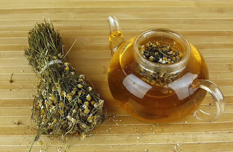Blog Image - Papatya Tea (Chamomile Tea)