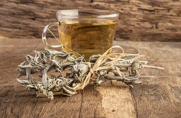Blog Image - Adaçayı Tea (Sage Tea)