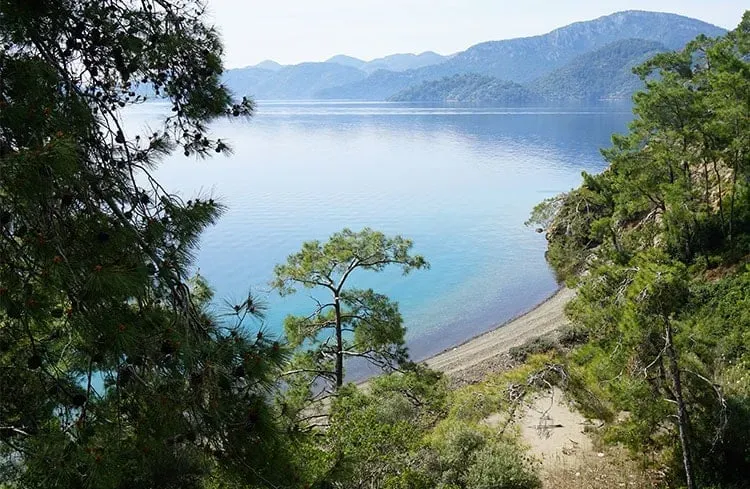 Blog Image - Sarsala Cove