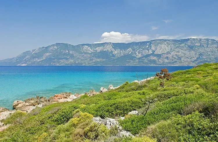 Blog Image - Sarıgerme
