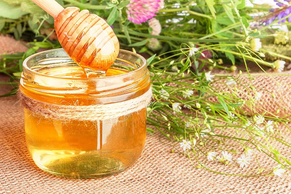 Blog Image - Pine Honey