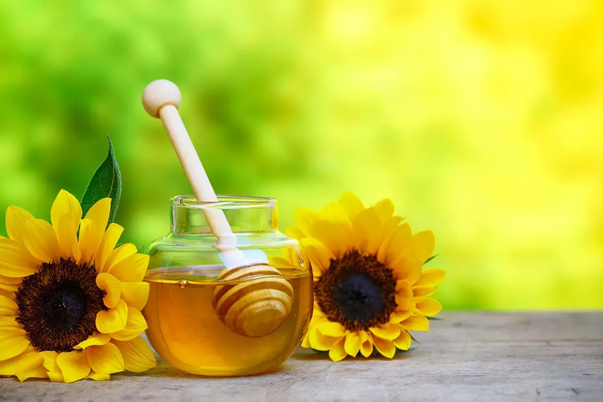 Blog Image - Thyme Honey