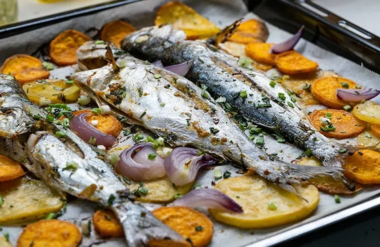 Blog Image - Bluefish