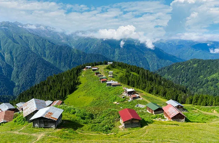 Blog Image - Pokut Yayla