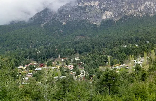 Blog Image - Bürücek Yayla