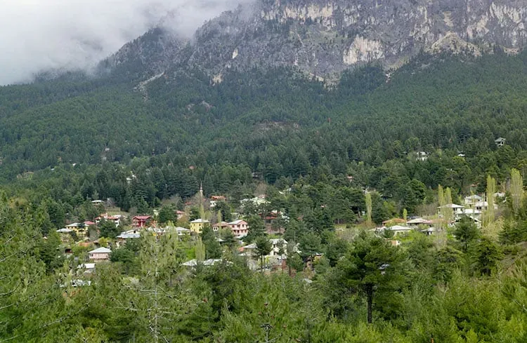 Blog Image - Bürücek Yayla